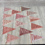 NEW Milestone Pennants