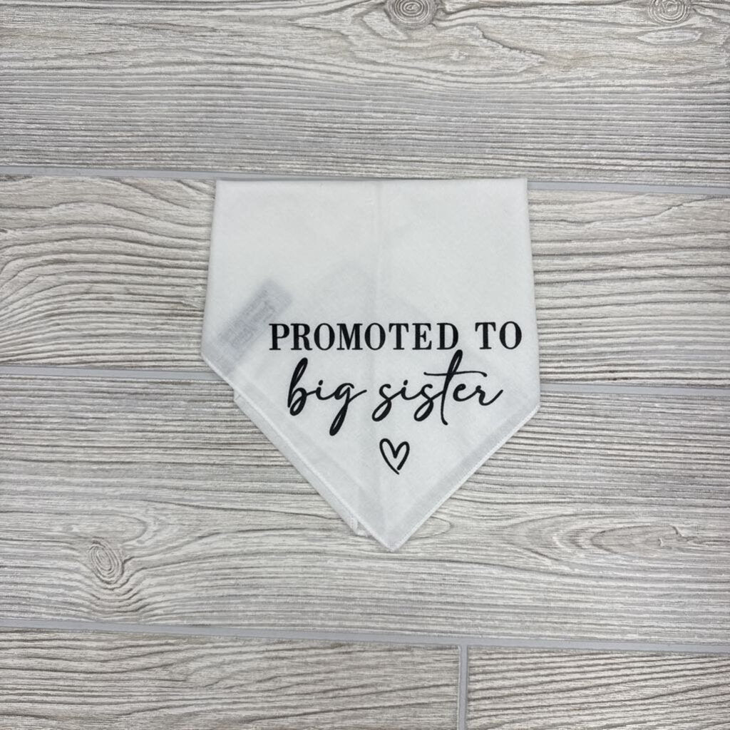 NEW Bandana Promoted To Big Sister