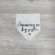 NEW Bandana Promoted To Big Sister