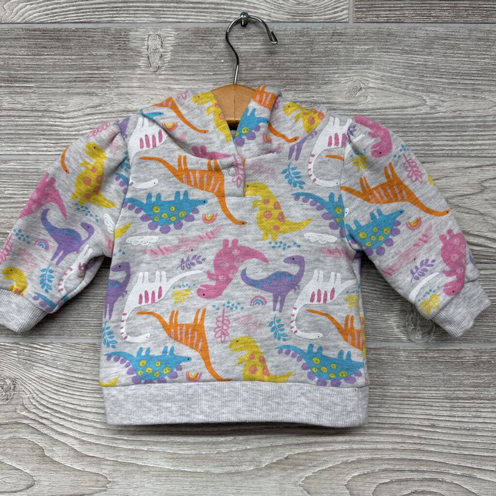 Hooded Sweatshirt Dinosaurs
