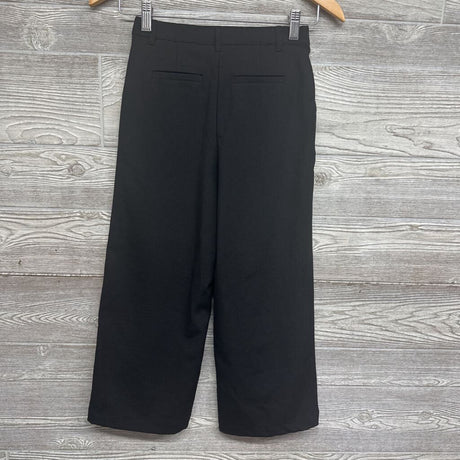 Wide Leg Dress Pants