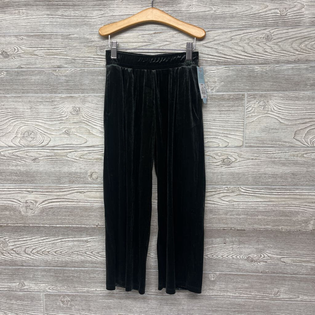 NEW Sheer Velour Pants