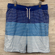 Swim Trunks Stripes
