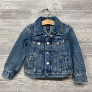 Icon Denim Jacket