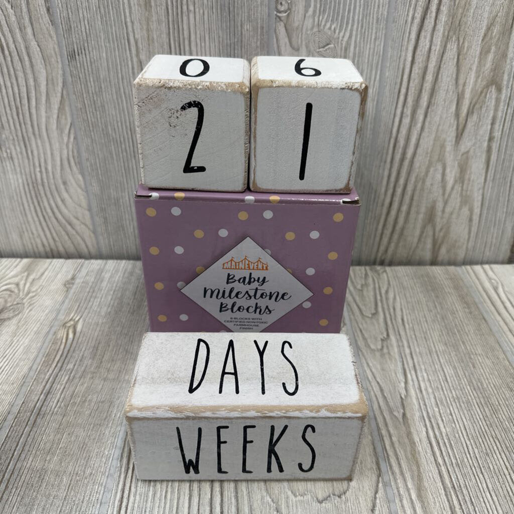 NEW Milestone Blocks