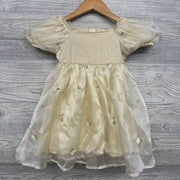 Tutu Dress Embroidered Flowers