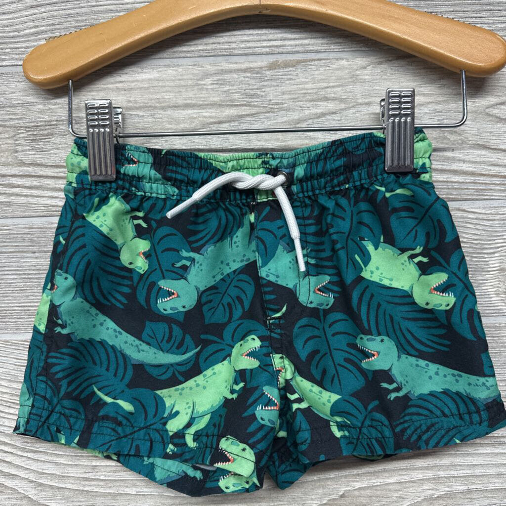 Swim Trunks T Rex