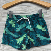 Swim Trunks T Rex