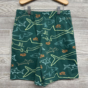 NEW Pull On Sweatshorts Sharks