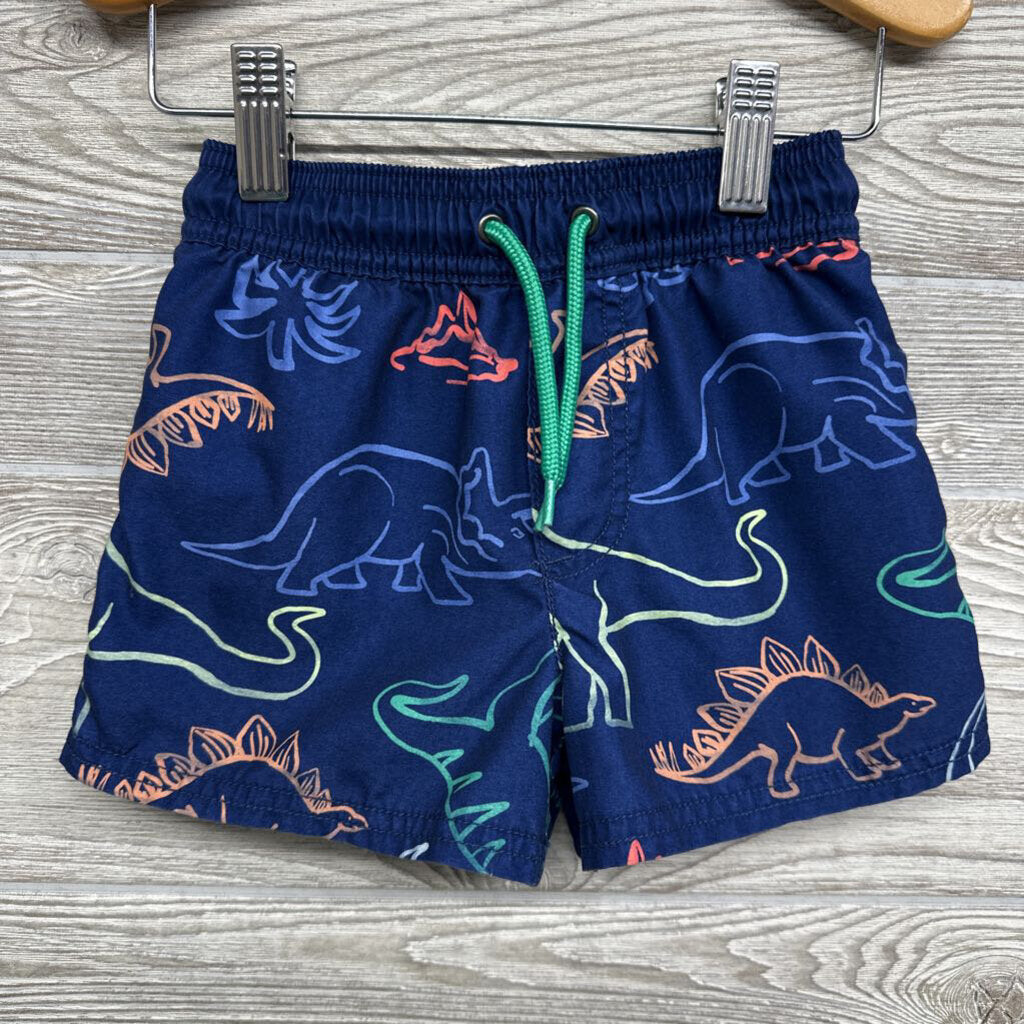 Swim Trunks Dinosaurs