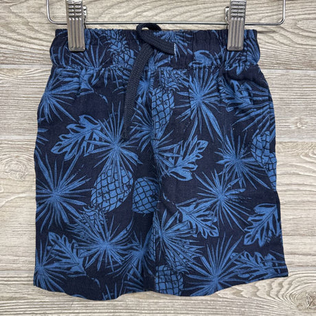 Button Up Shirt & Shorts Pineapples