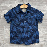 Button Up Shirt & Shorts Pineapples
