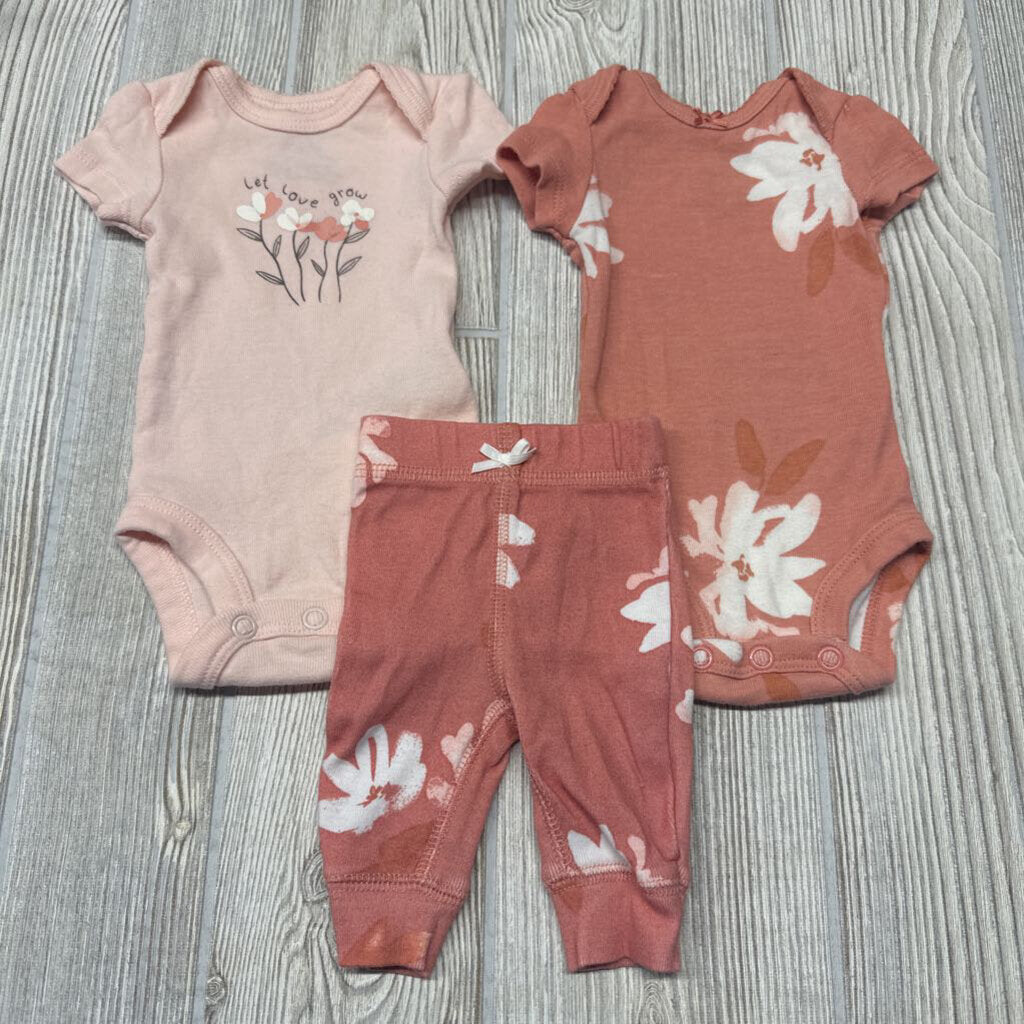 2 Bodysuits & Pants Flowers Let Love Grow Preemie