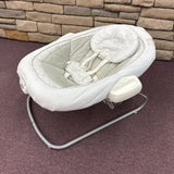 DuetConnect LS Swing & Bouncer