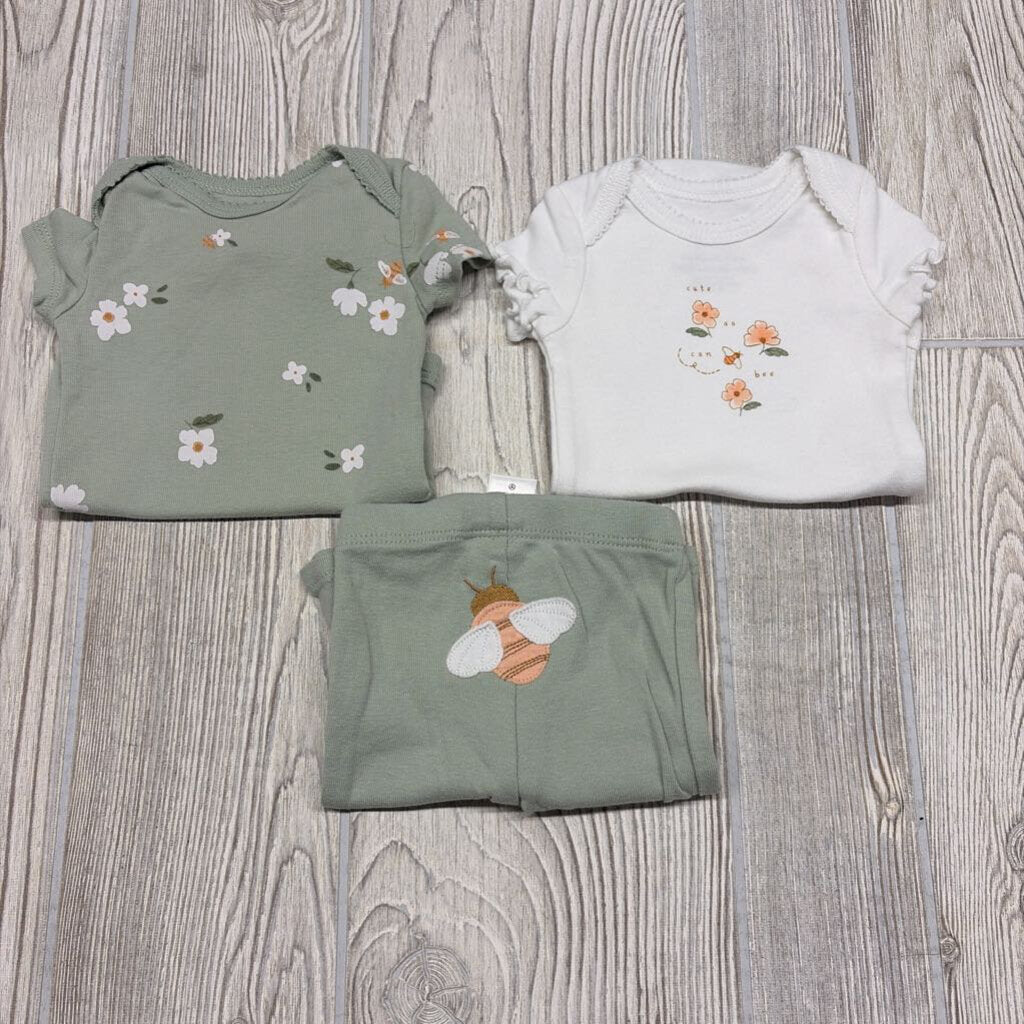 2 Bodysuits & Pants Cute As Can Bee Flowers nb