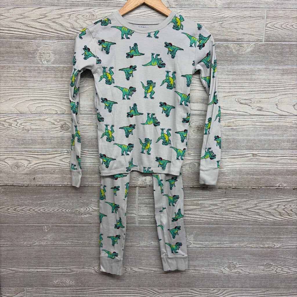 2 Pc Pj Dinosaurs 12