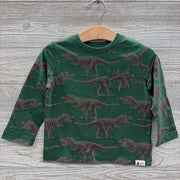 NEW Playtime Favorites LS Shirt Dinosaurs 18-24m