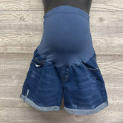 Full Panel Distressed Denim Shorts XL