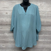 V Neck Sheer Blouse XXL