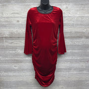 NEW Bell Sleeve Velvet Dress XL