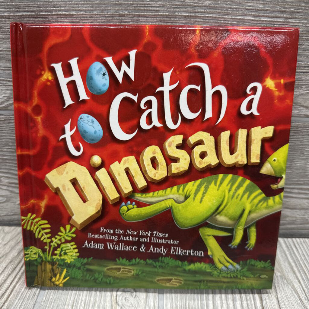 How To Catch A Dinosaur Hardcover Book