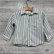 Button Up Shirt Stripes