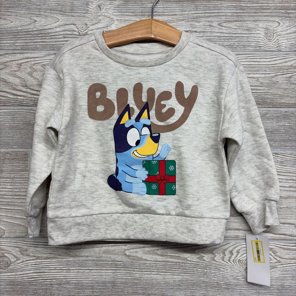 NEW Crewneck Double Sided 2t