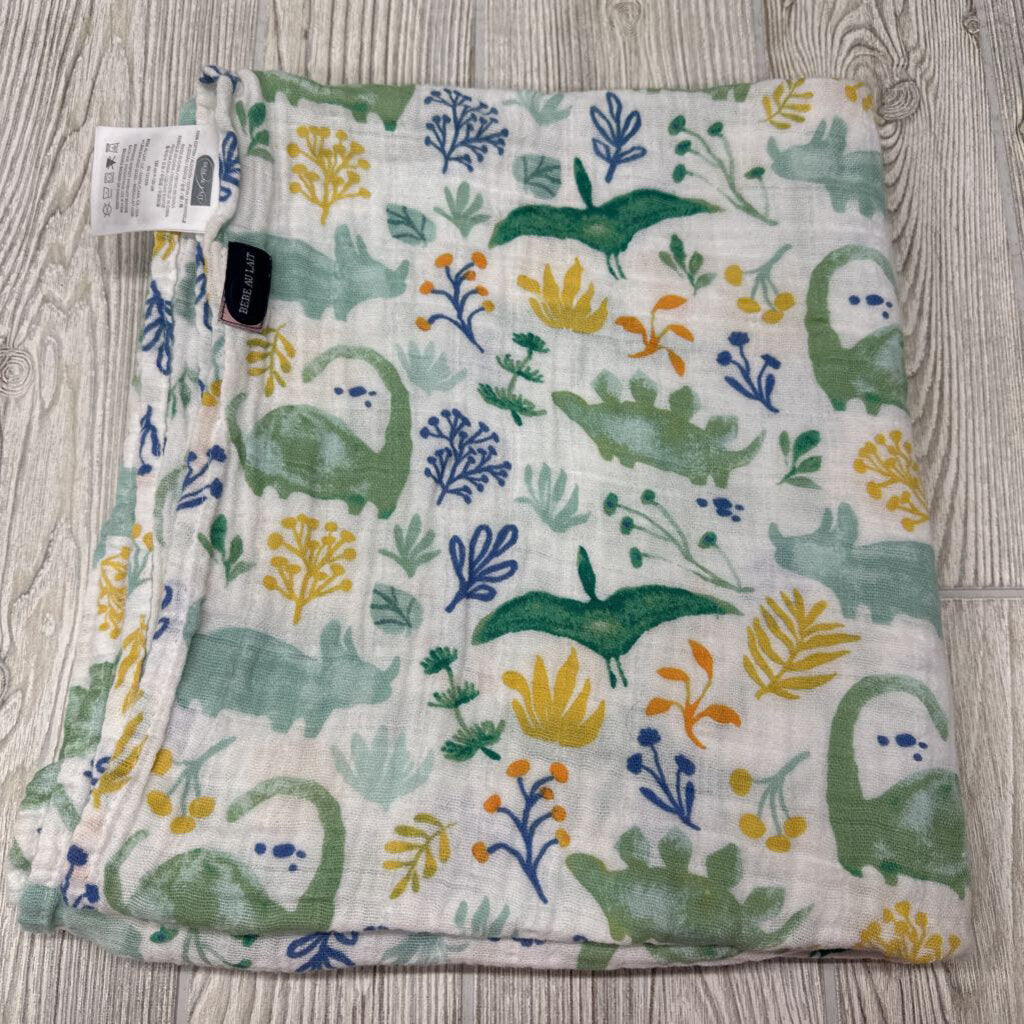 Muslin Blanket Dinosaurs