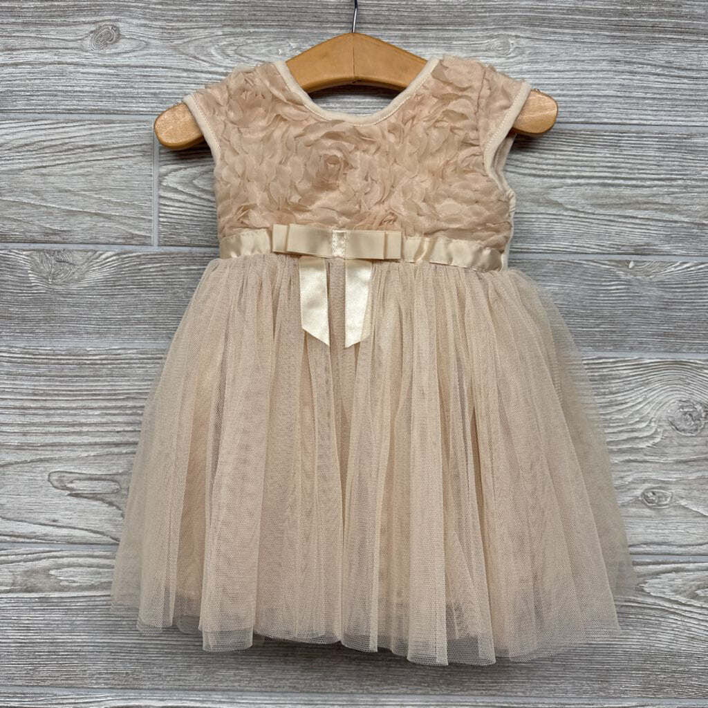 Tulle Dress 12M
