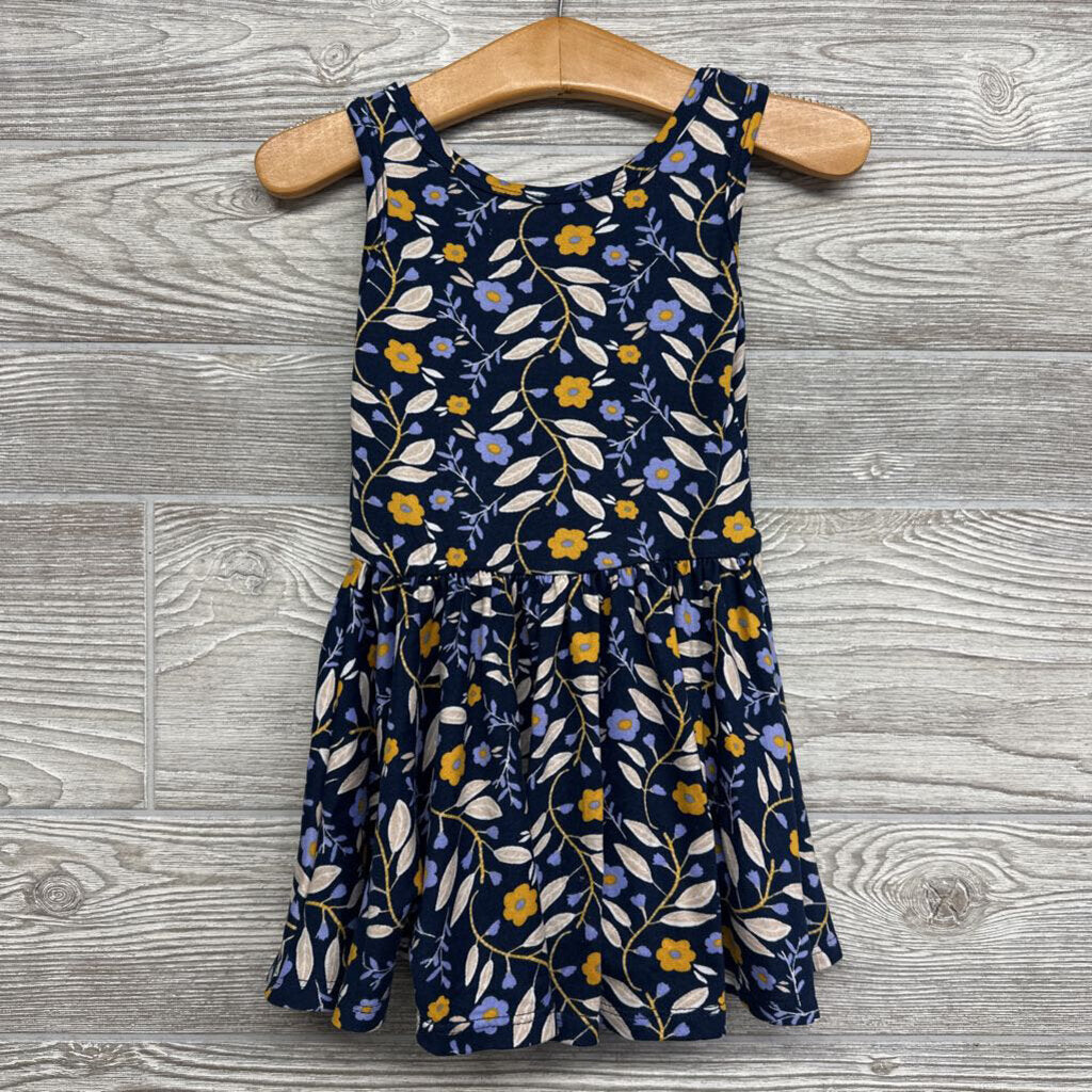 Twirl Dress Flowers 12M