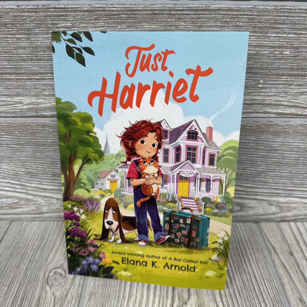 Just Harriet Paperback Book