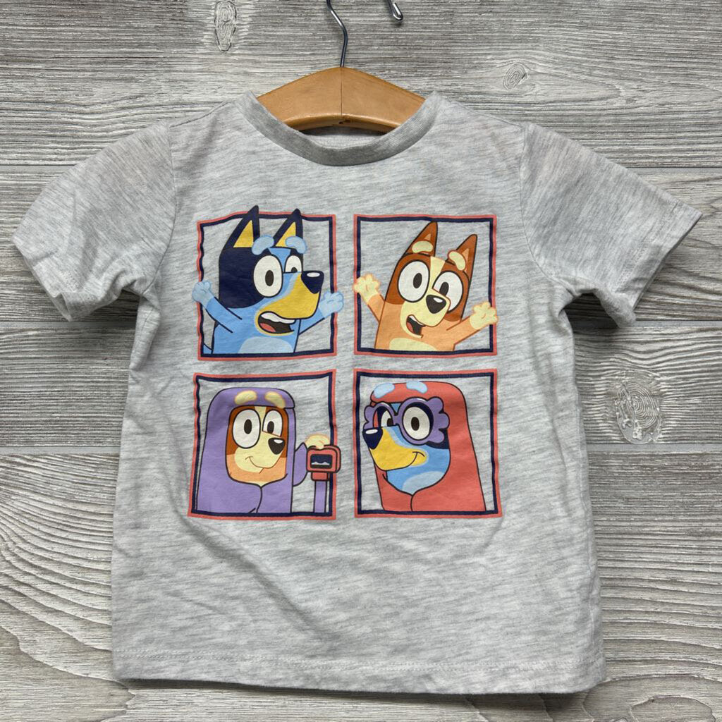 Shirt Bluey & Bingo 2t