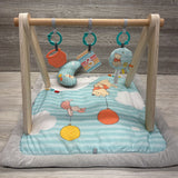 Once Upon A Tummy Time Playmat & Wooden Arch