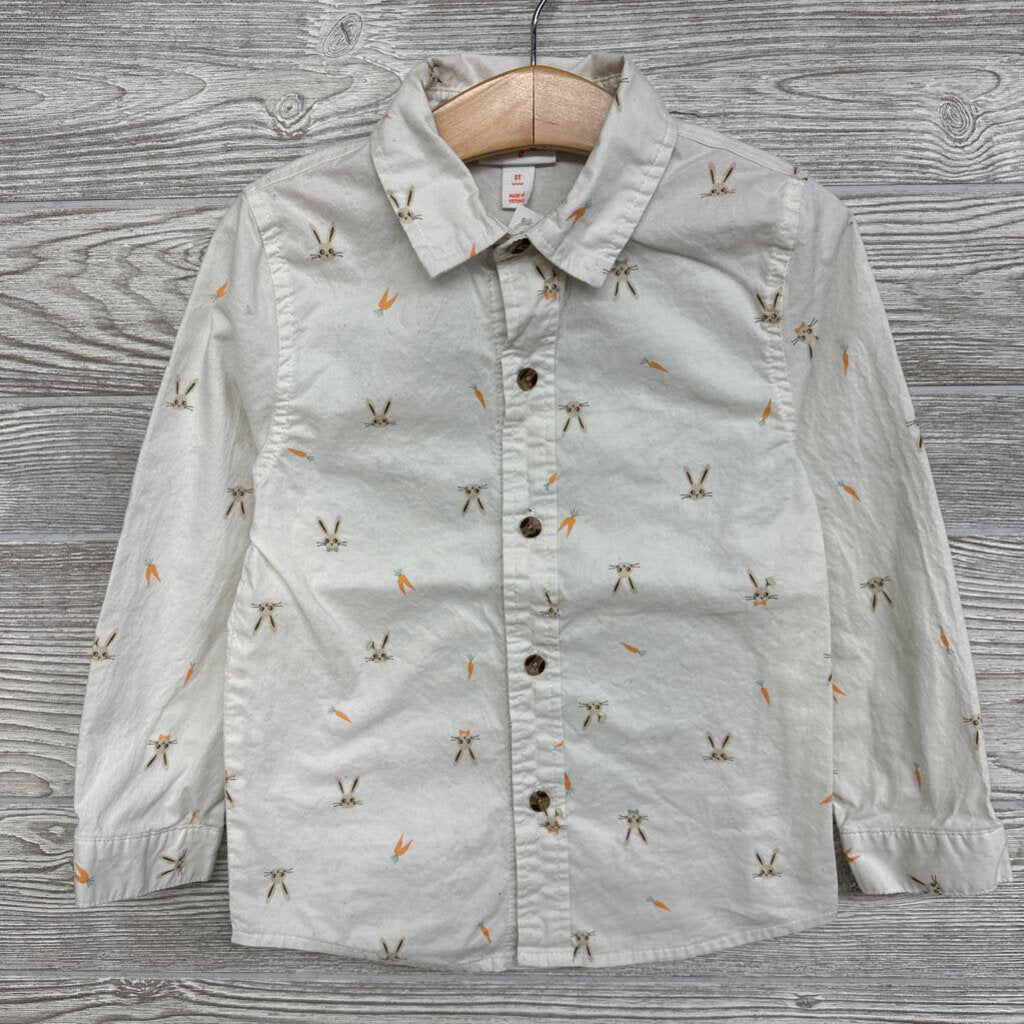 Button Up Shirt Rabbits & Carrots 5t