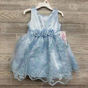 NEW Dress Sequin Embroidered Tulle Flowers 2t