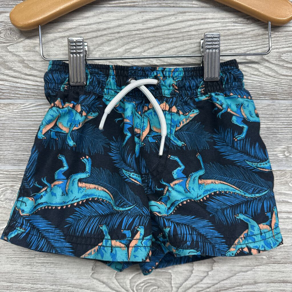 Swim Trunks Dinosaurs 18m