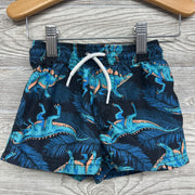 Swim Trunks Dinosaurs 18m