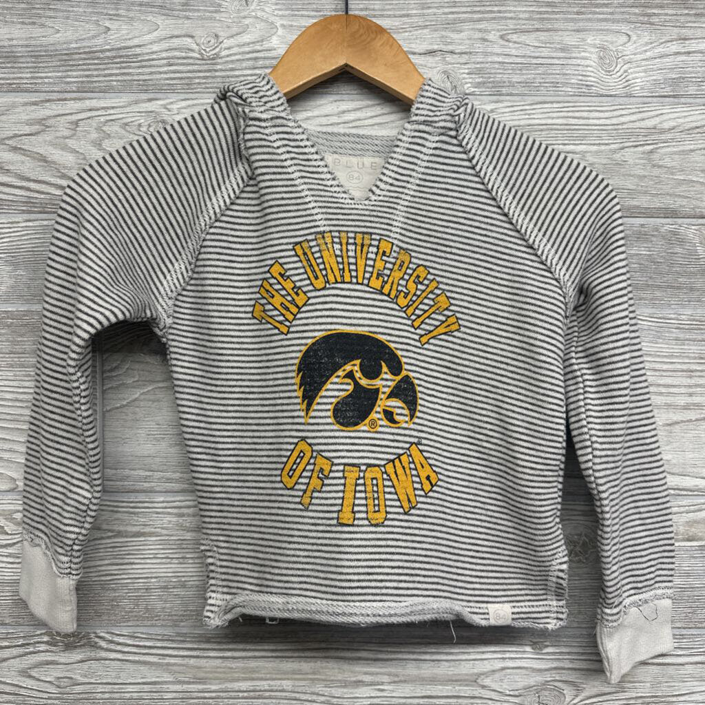 Crop Hoodie Iowa Hawkwyes Stripes 7