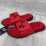 NEW Ignite Pro Slides 4y