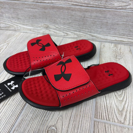 NEW Ignite Pro Slides 4y