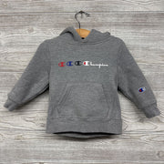 Hooded Sweatshirt Logo 2t