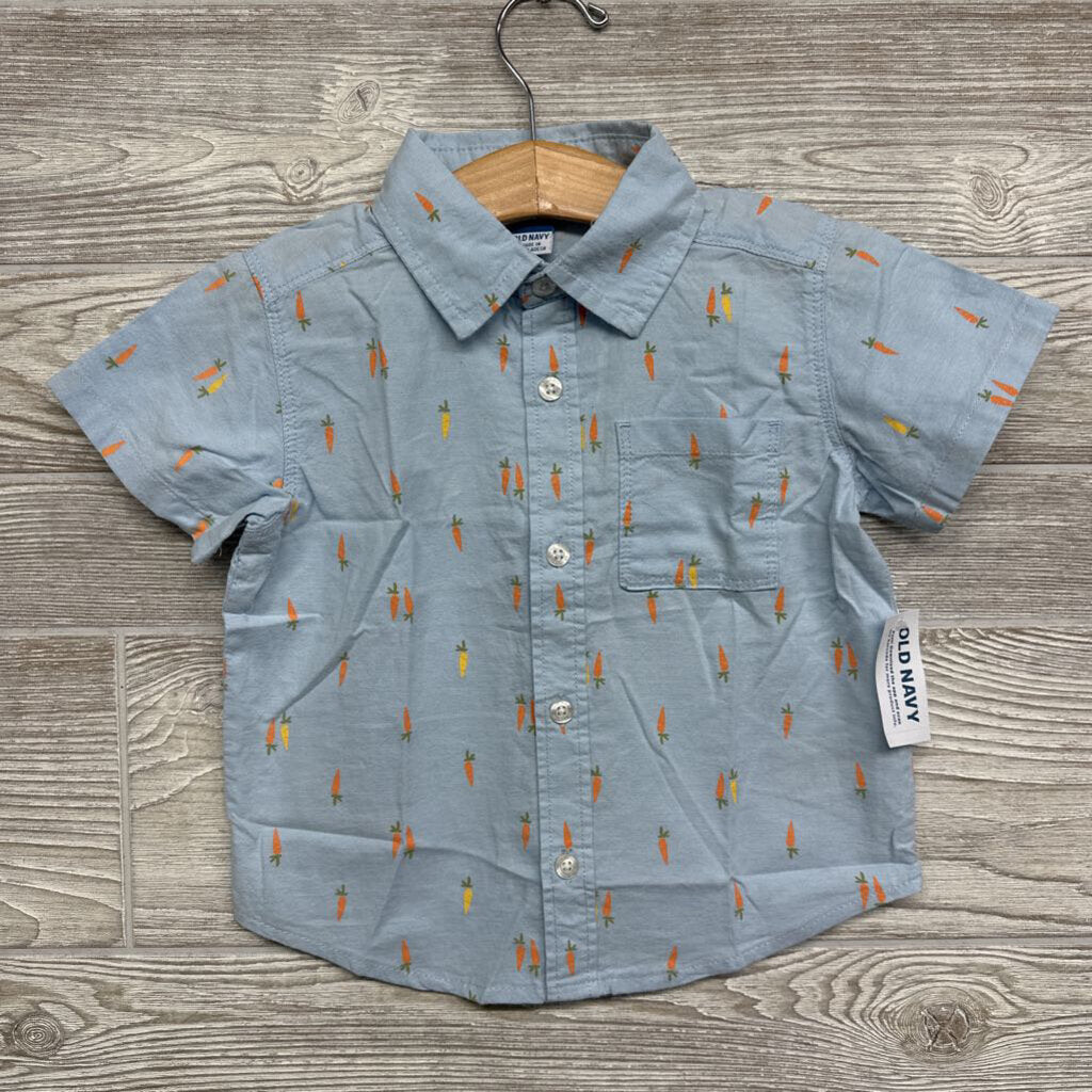NEW SS Button Up Oxford Shirt 2t