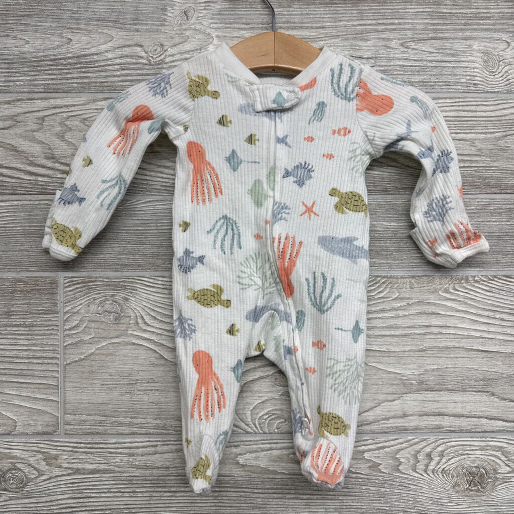 Ribbed Sleeper Octopus Fish