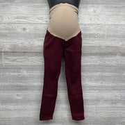 Full Panel Skinny Jeans Small