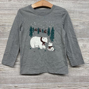 Polar Bears Mountains 3t