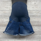 Full Panel Denim Shorts Med