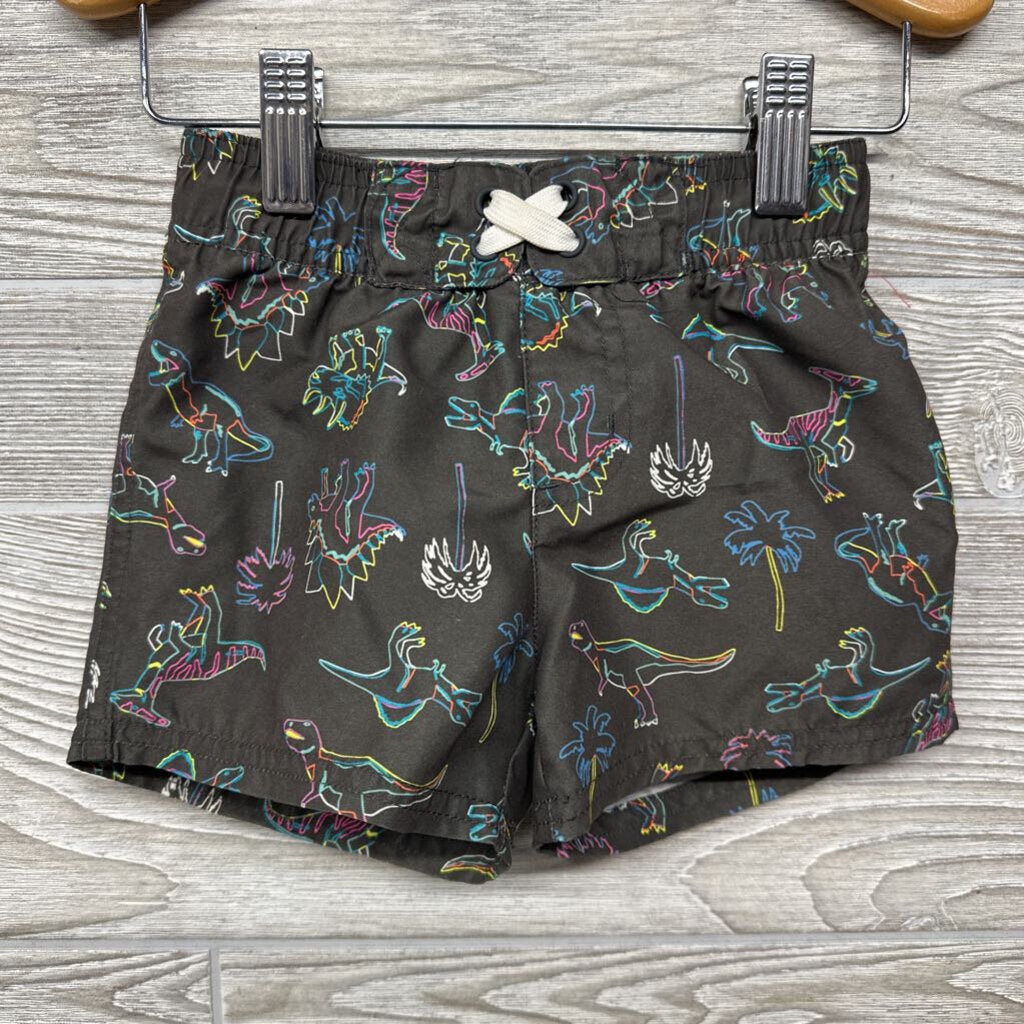 Swim Trunks Dinosaurs Palm Trees 18m
