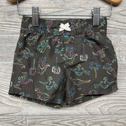 Swim Trunks Dinosaurs Palm Trees 18m