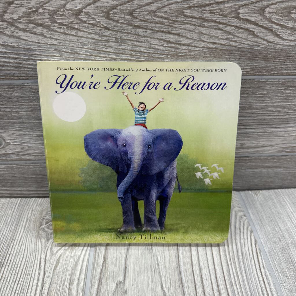 You're Here For A Reason Hardcover Book