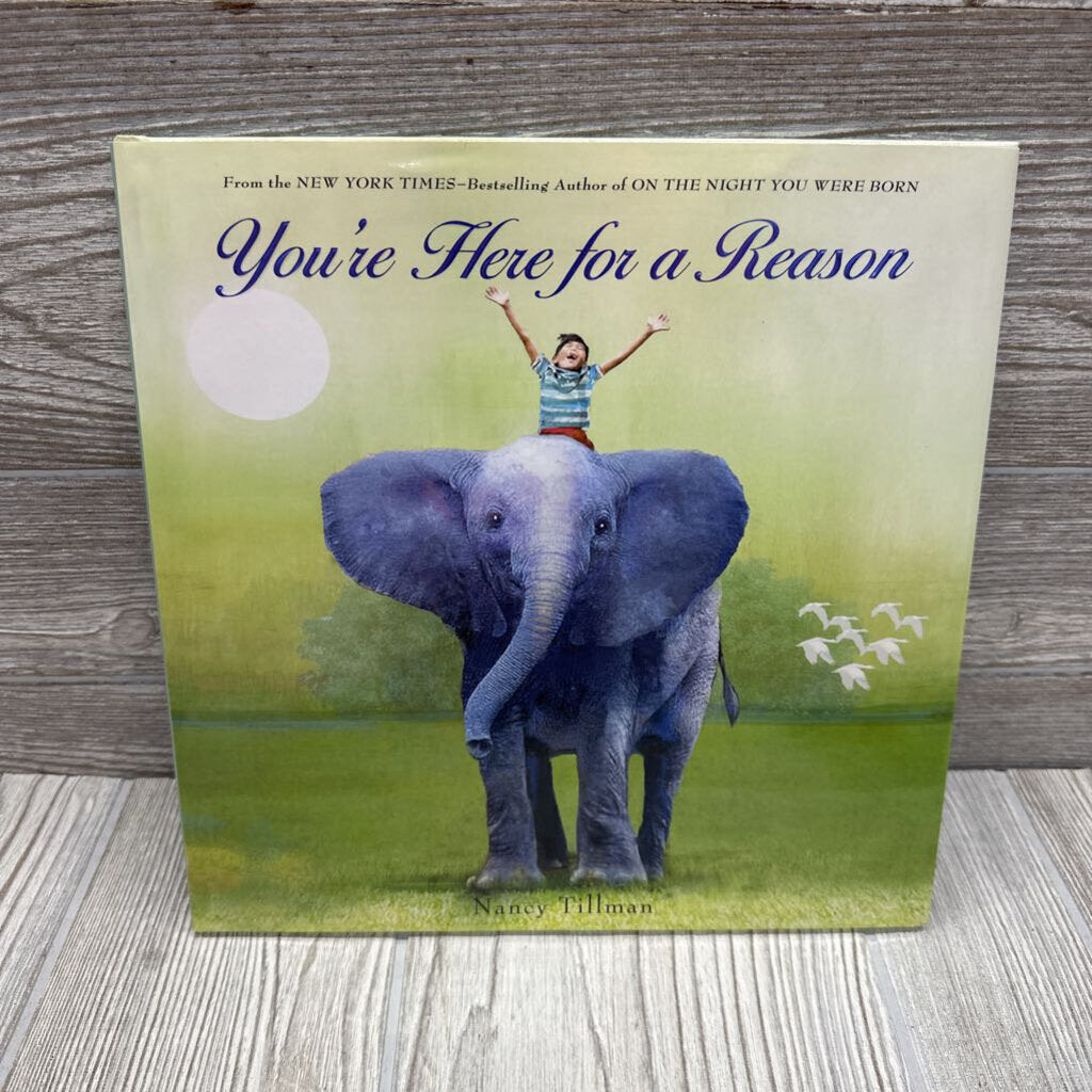 You're Here For A Reason Hardcover Book
